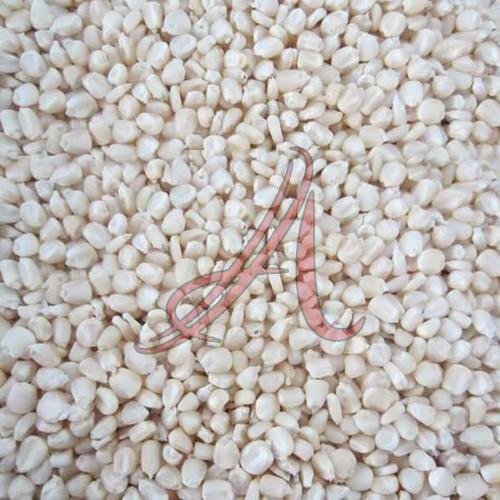 White Corn Seeds