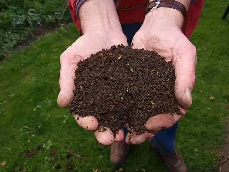 Bio Organic Manure
