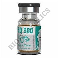 Boldenone Undecylenate 500  Injection
