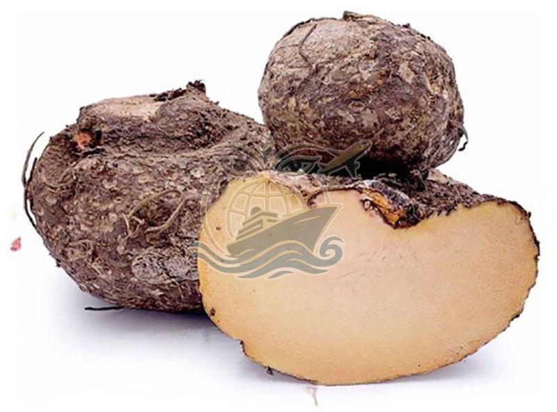 A Grade Elephant Yam