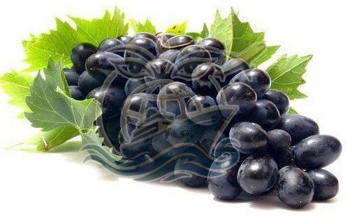 Fresh Grapes