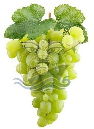 A Grade Fresh Green Grapes