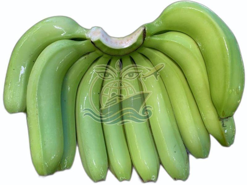 A Grade Maharashtra G9 Green Cavendish Banana