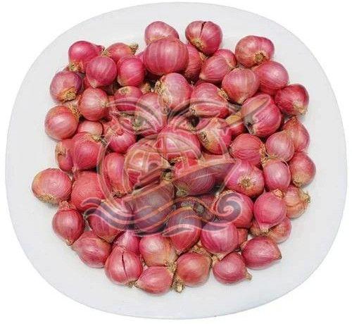 A Grade Small Red Onion