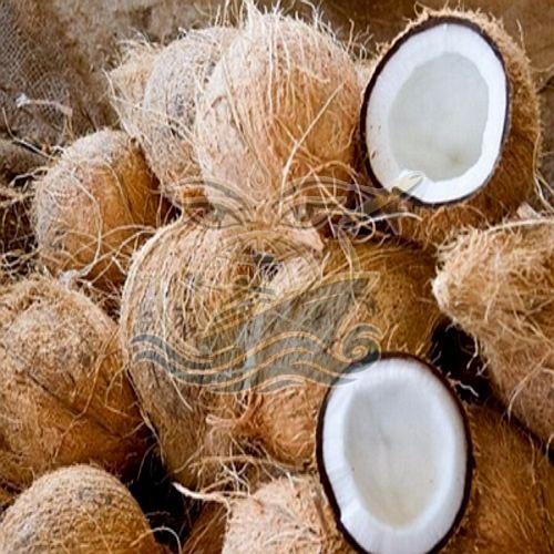A Grade Solid Semi Husked Coconut