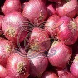 Fresh Red Onion