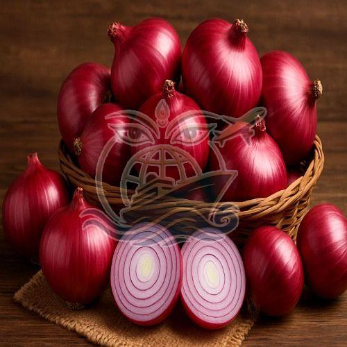 Fresh Nashik Red Onion