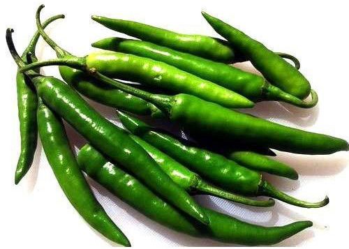 Organic Fresh Green Chilli