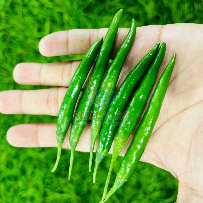Fresh Green Chilli