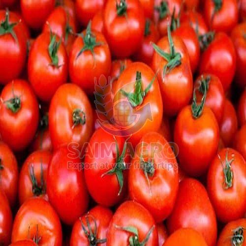 Fresh Red Tomato