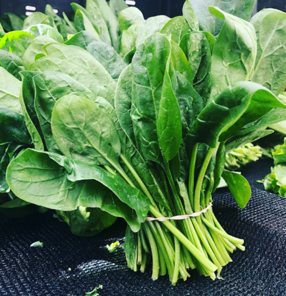 Fresh Green Spinach