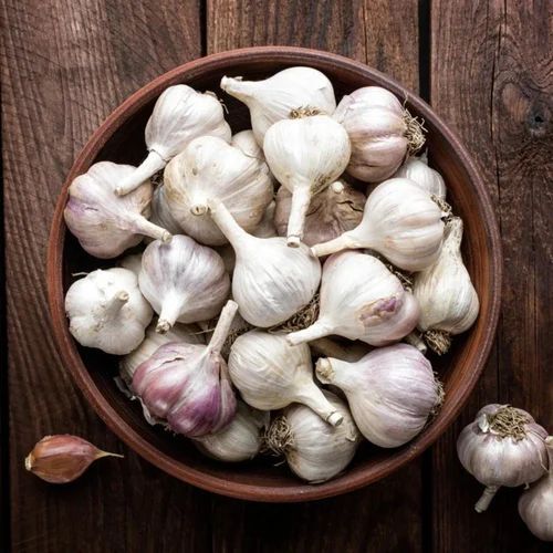 Fresh Garlic
