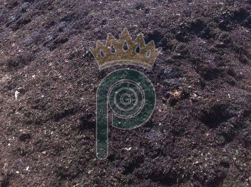 Pure Cow Dung Manure