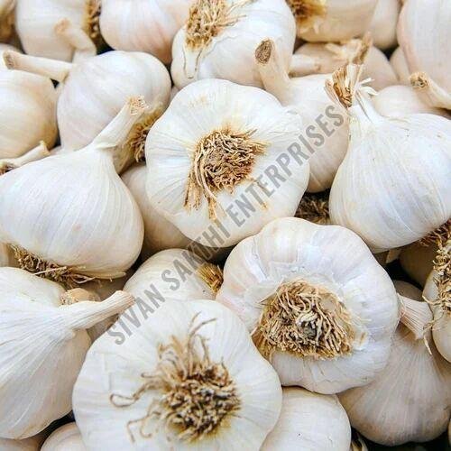 Fresh Garlic