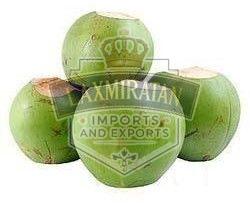 B Grade Fresh Tender Coconut