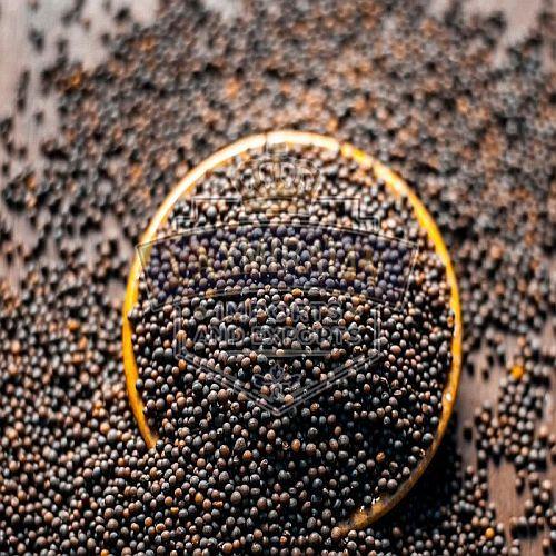 Black Mustard Seeds