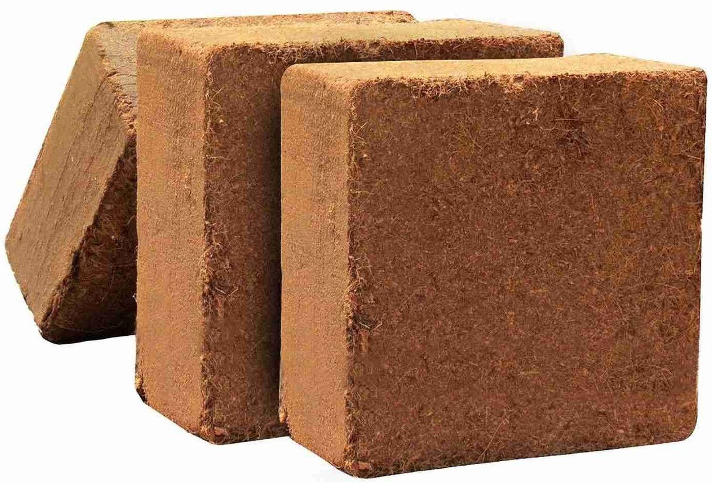 Square Cocopeat Block