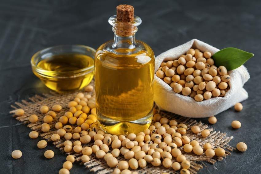 Refined Soybean Oil
