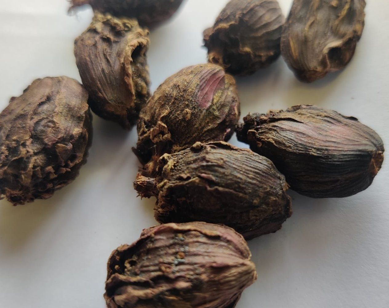 Natural Bold Black Cardamom