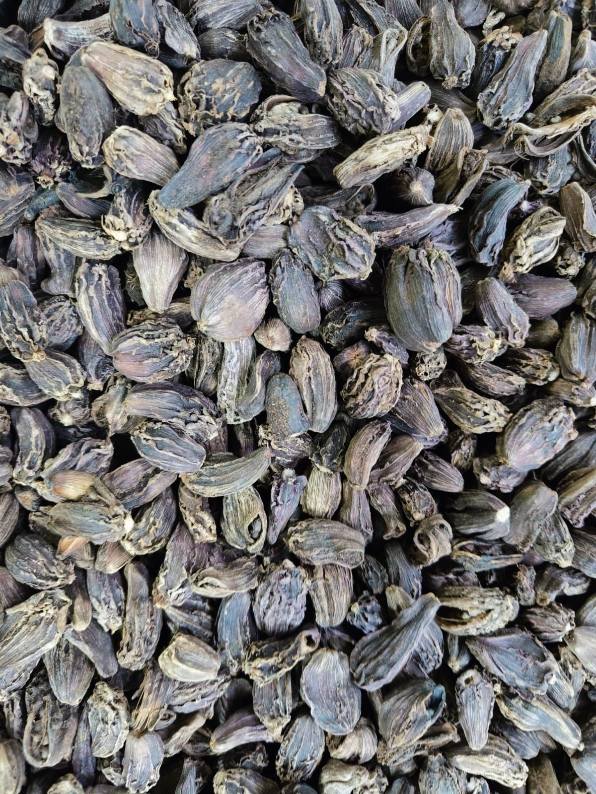 Natural Smoky Badi Elaichi