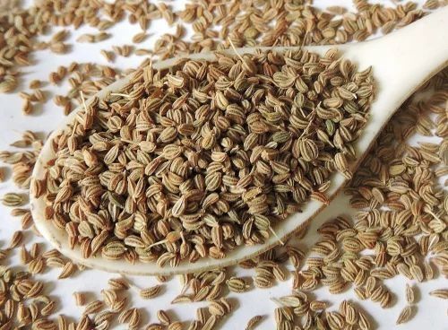 Premium Carom Seeds