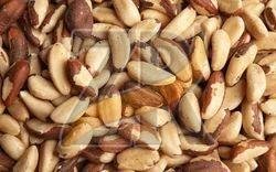 Handpicked Premium Brazil Nuts