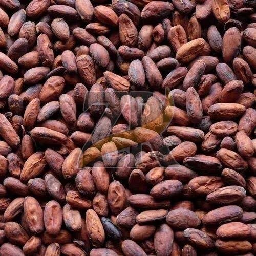 High Quality Raw Cacao Beans