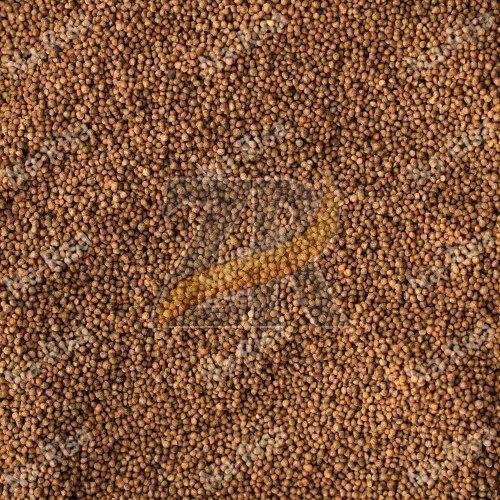 Premium Perilla Seeds