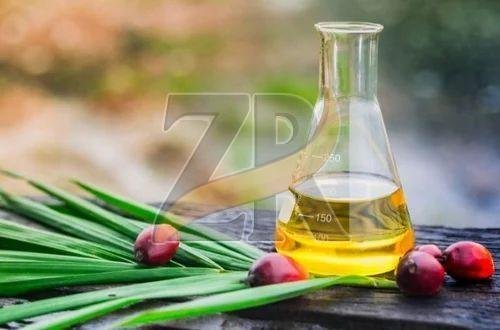 Premium Refined Palm Oil