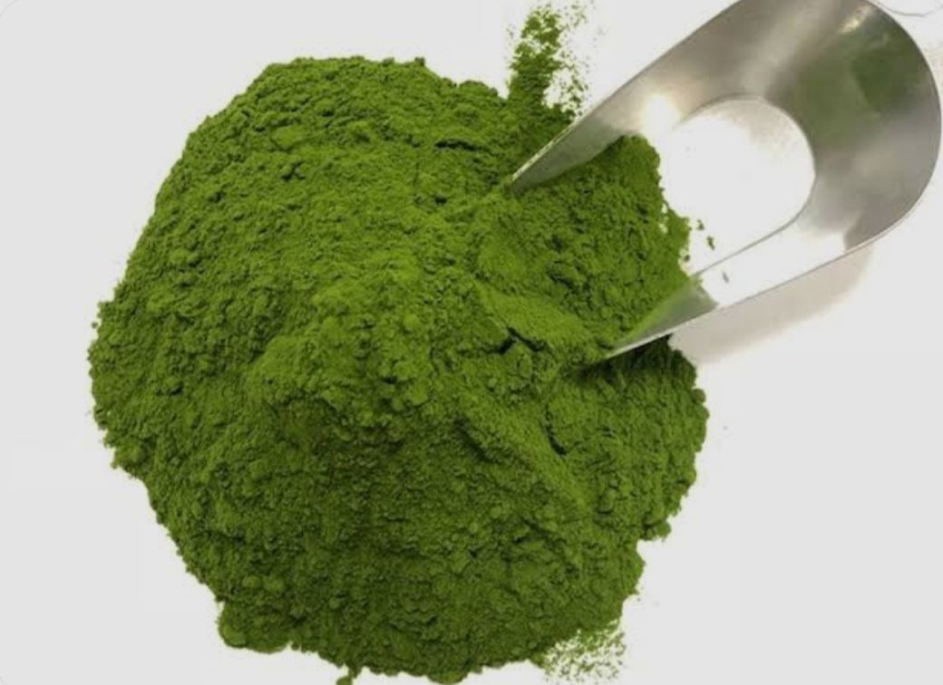 Alfalfa Powder