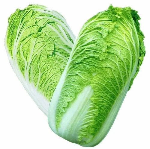 A Grade Fresh Green Chinese Cabbage