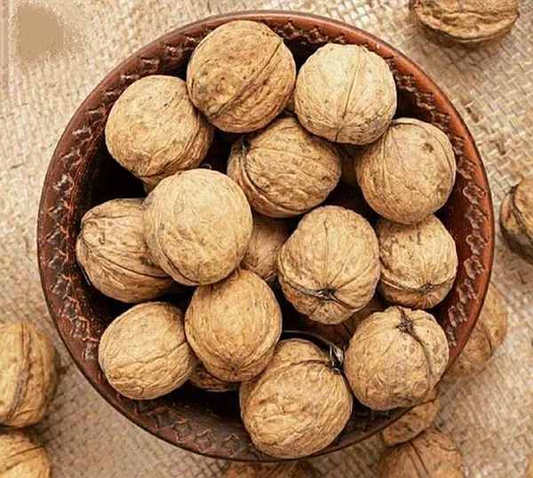 Export Quality Kashmiri Walnut
