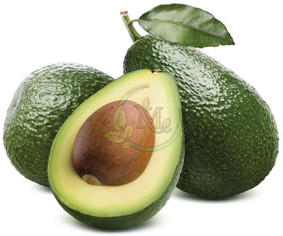 Fresh Avocado