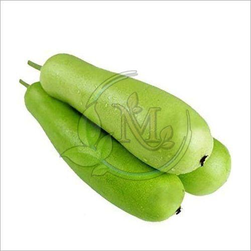 Fresh Bottle Gourd