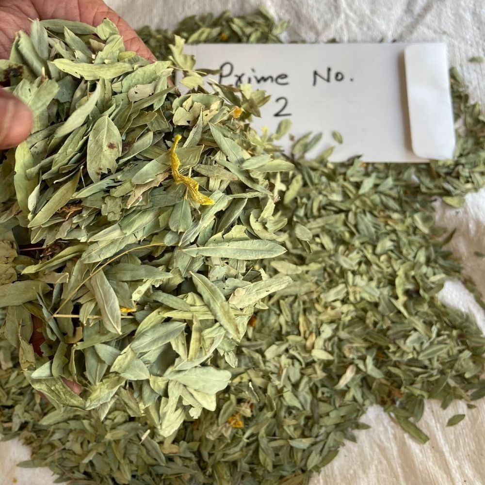 Double Clean Prime 2 Senna Leaves