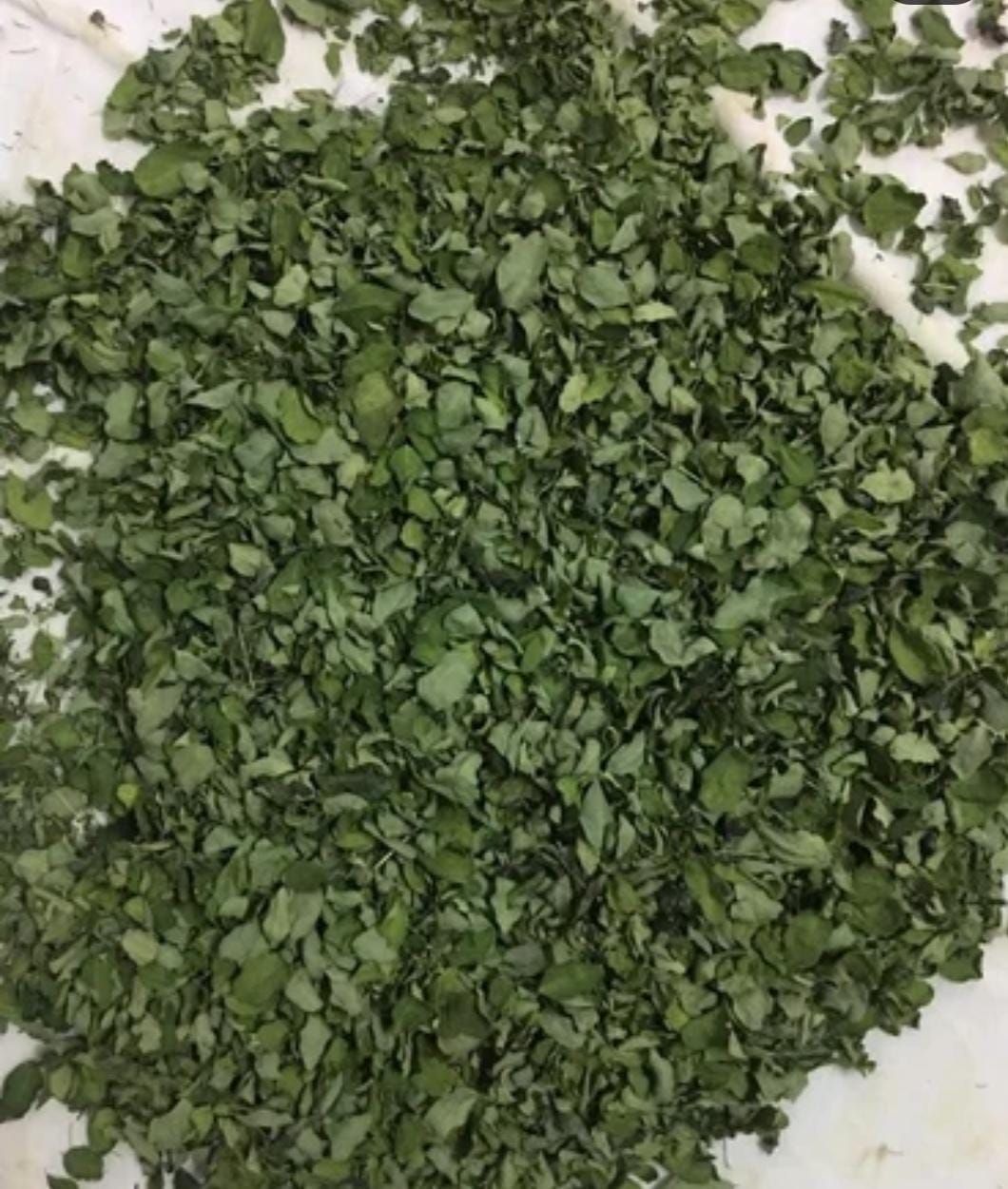 Dry Moringa Leaves