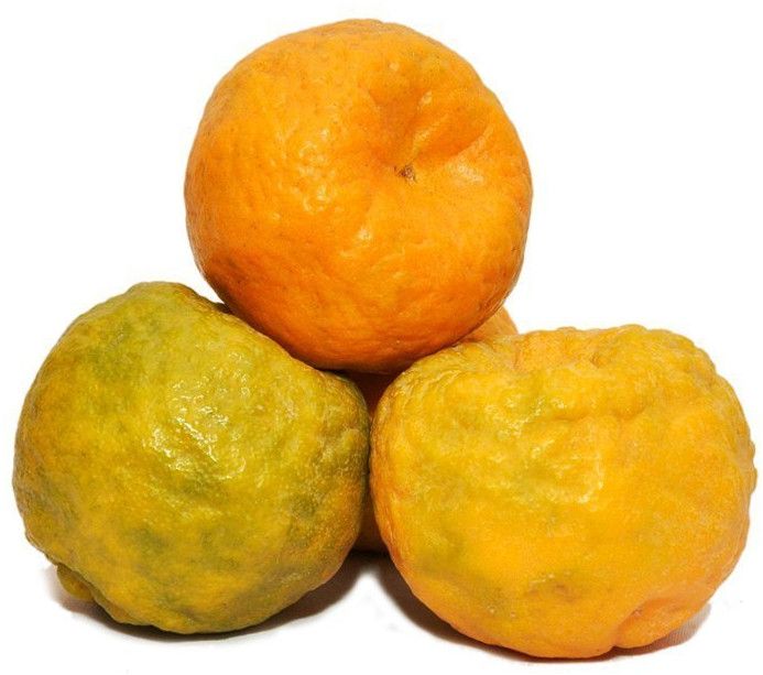 171 Grade Fresh Orange