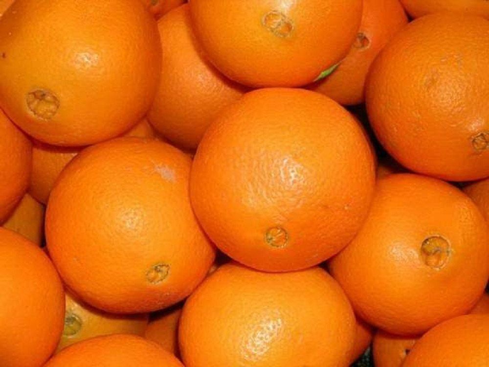 205 Grade Fresh Orange