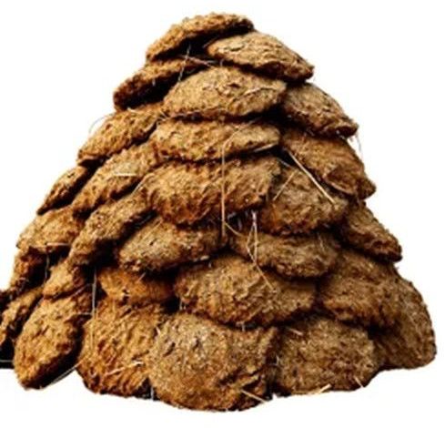 Dry Cow Dung Cake