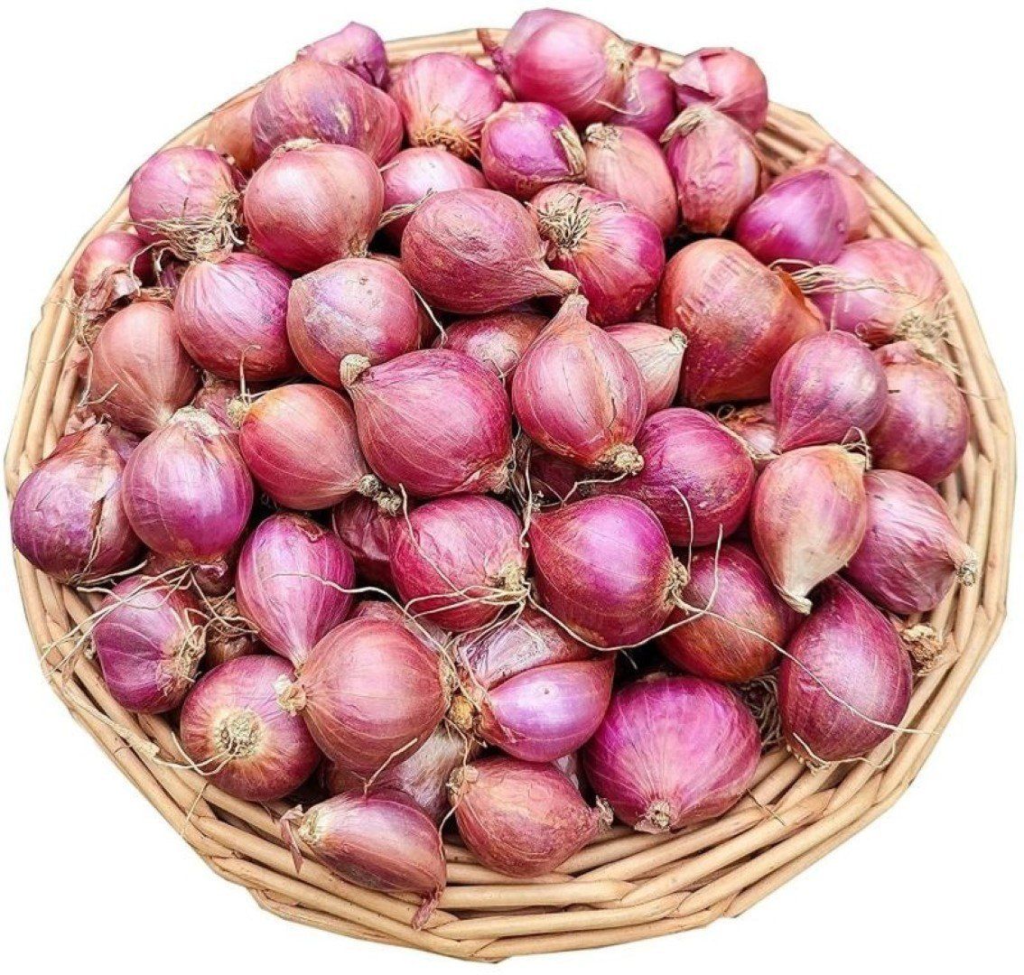 Fresh Shallot Onion