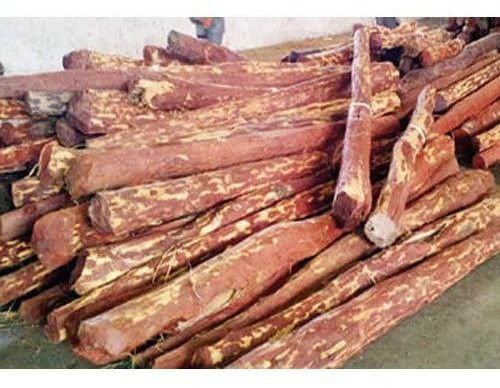 Natural Red Sandalwood Logs