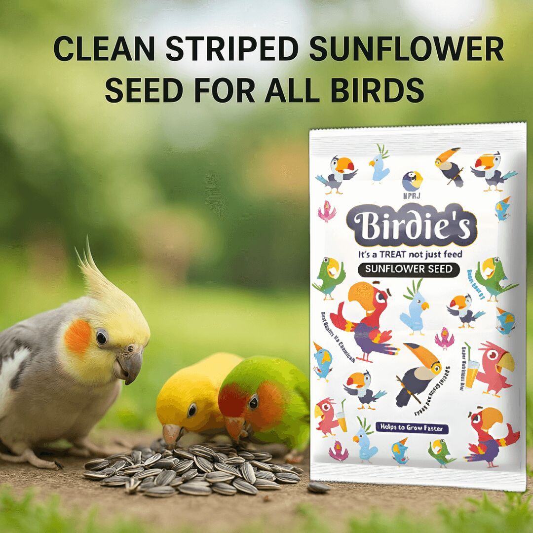 500g birds premium sunflower seeds