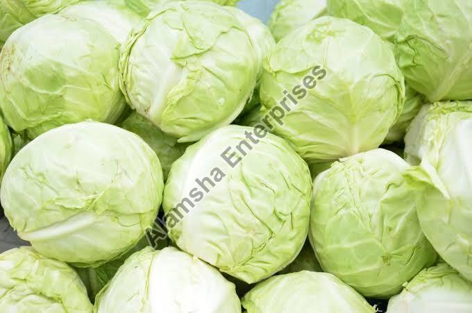 Cabbage