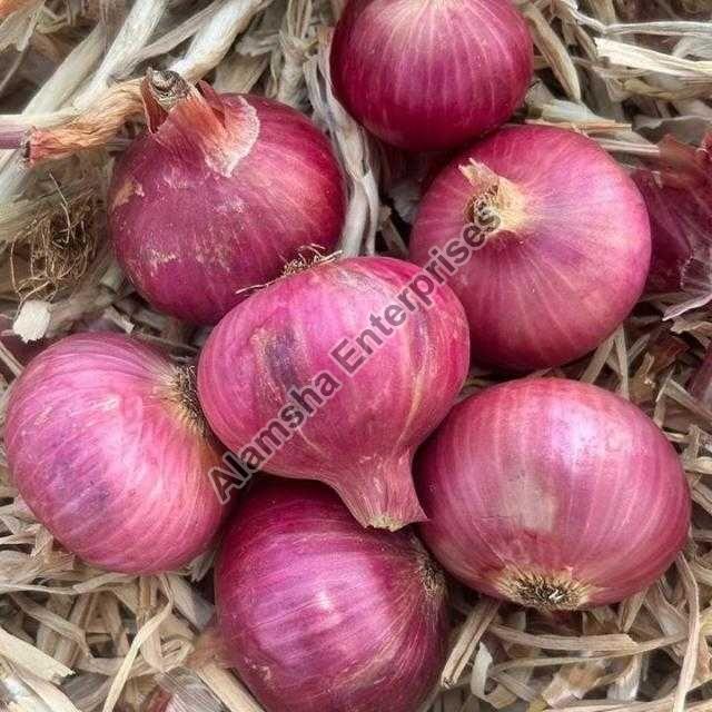 fresh red onion