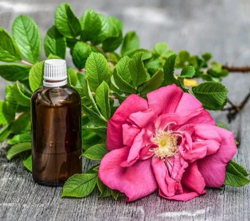 Indian Rose Oil