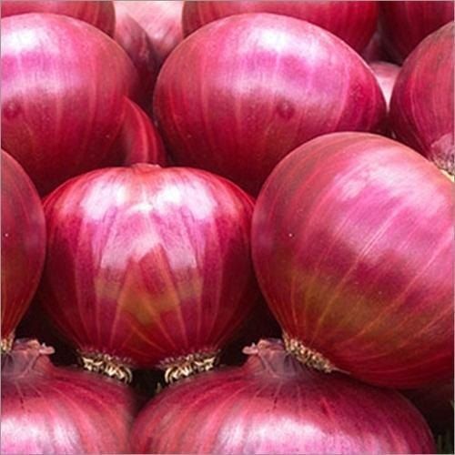 Nashik Red Fresh Onion Export Quality
