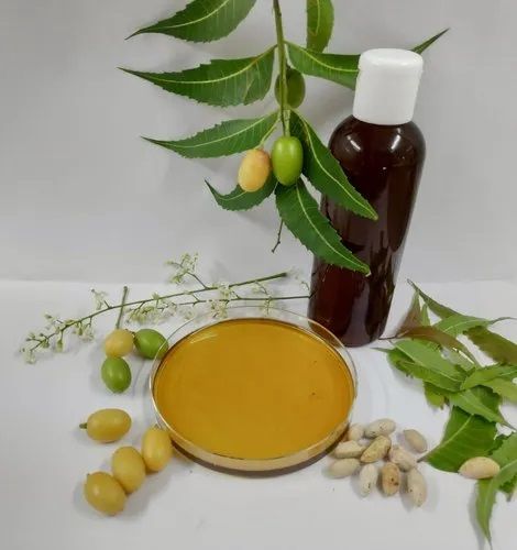 Neem Seed Oil