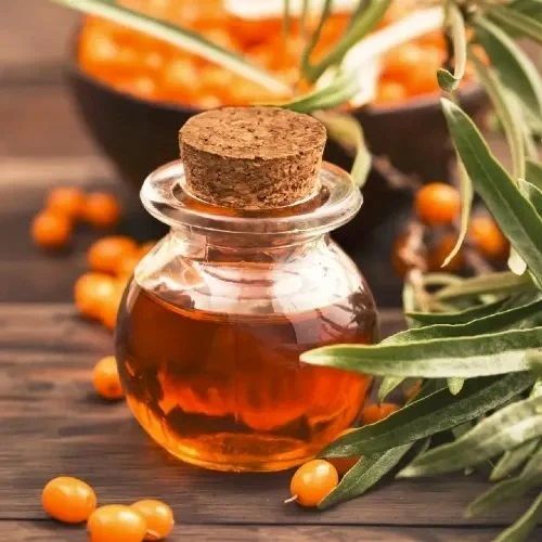 Sea Buckthorn Oil