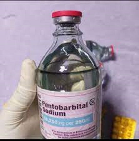 Nembutal Pantobarbital Powder Liquid