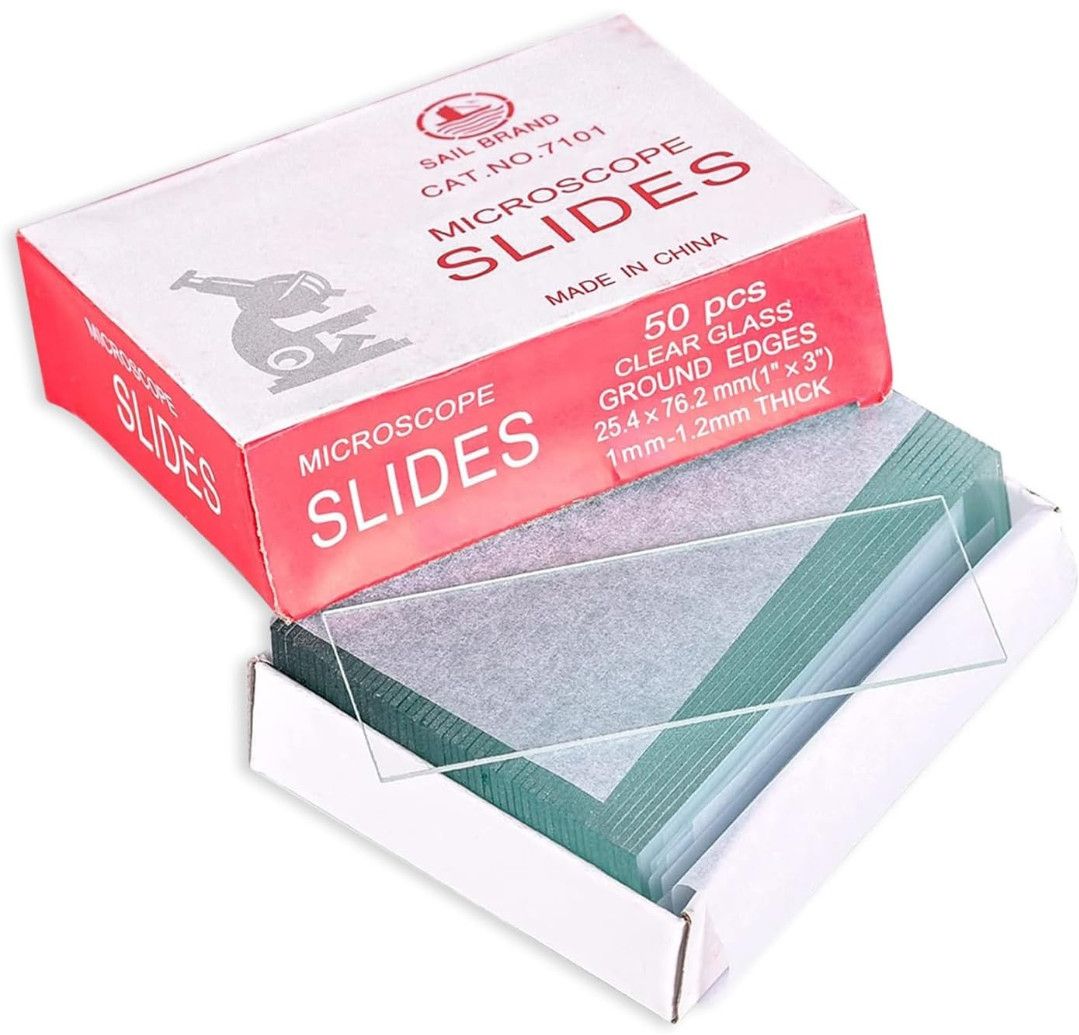 Microscope Glass Slides